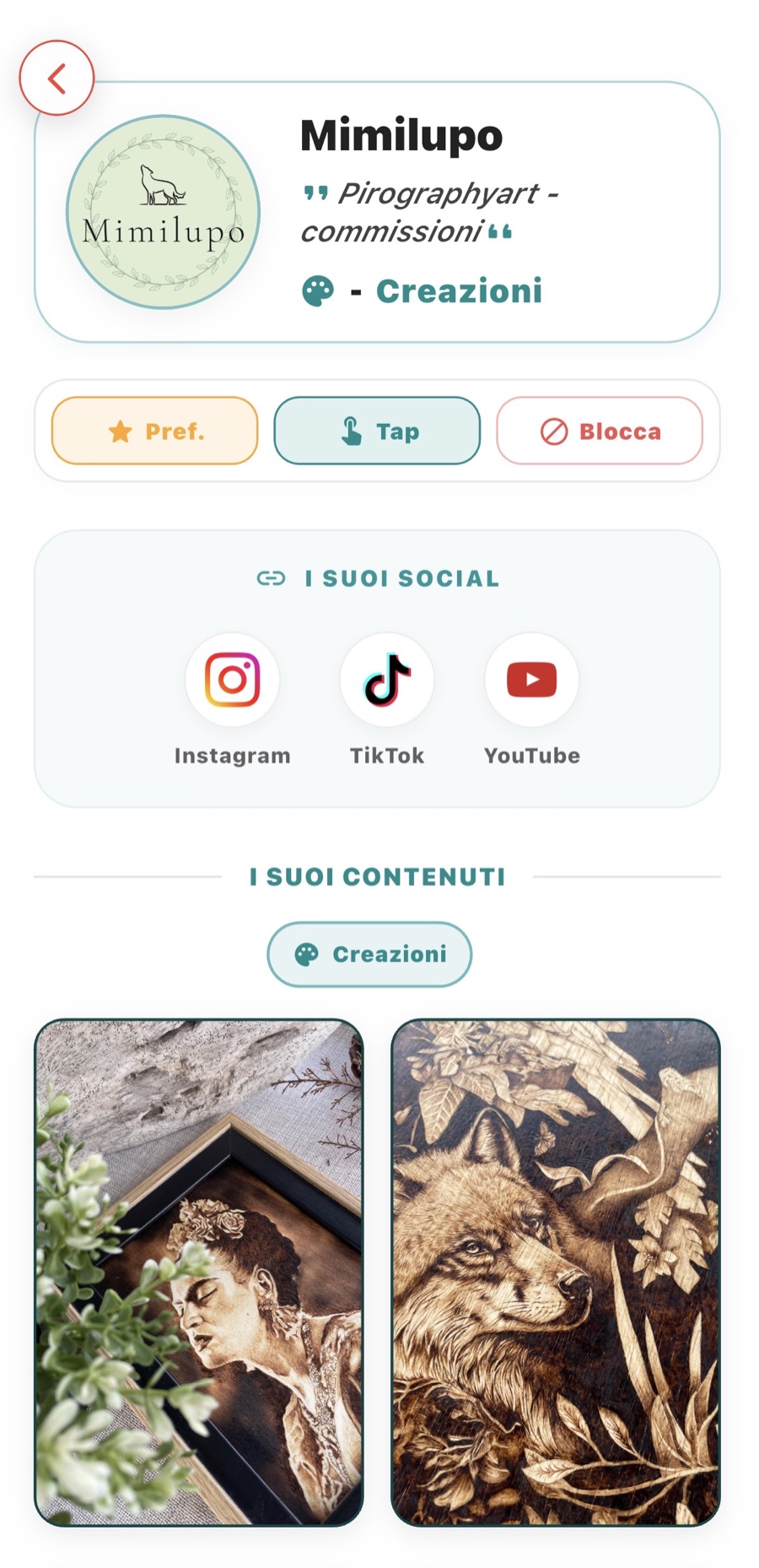 Profilo pubblico con social e contenuti in Tap-Search
